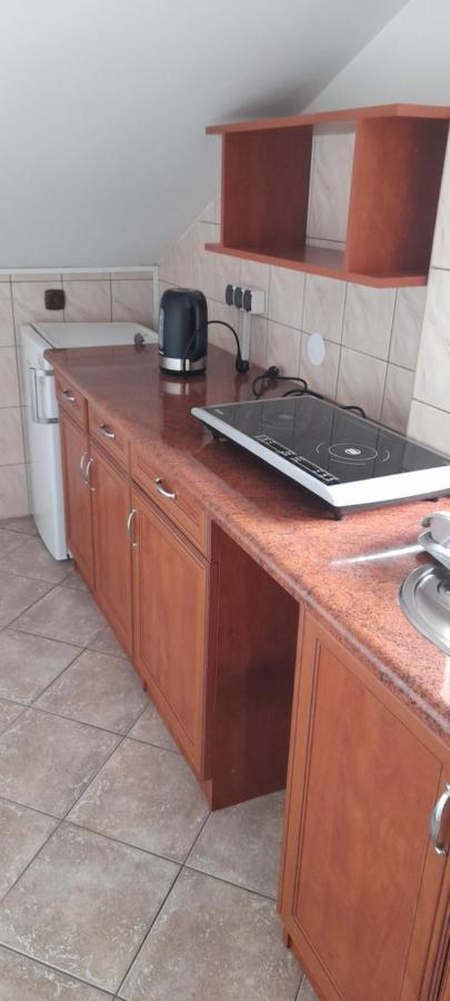 Agroturystyka U Wiesi Ciecina Exteriör bild